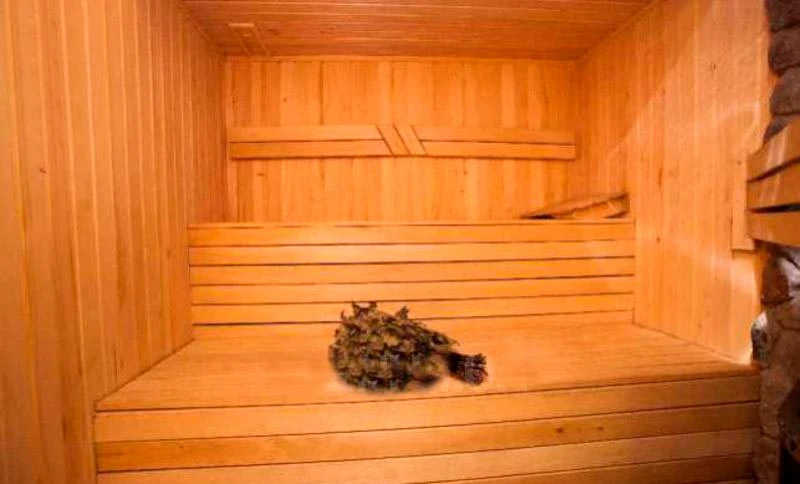 Баня Феринг — сауны и бани Харькова